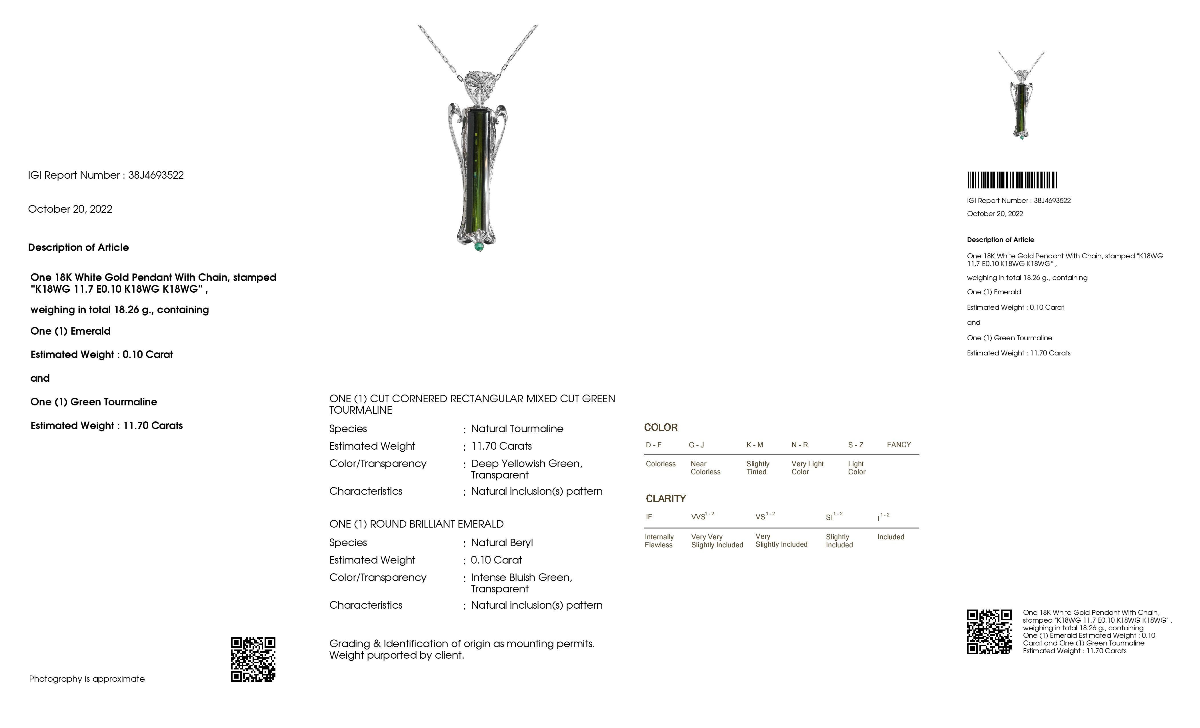 IGI-zertifizierte Halskette mit 11,70 Karat natürlichem grünem Turmalin, 0,10 Karat natürlichem Smaragd im Angebot 1