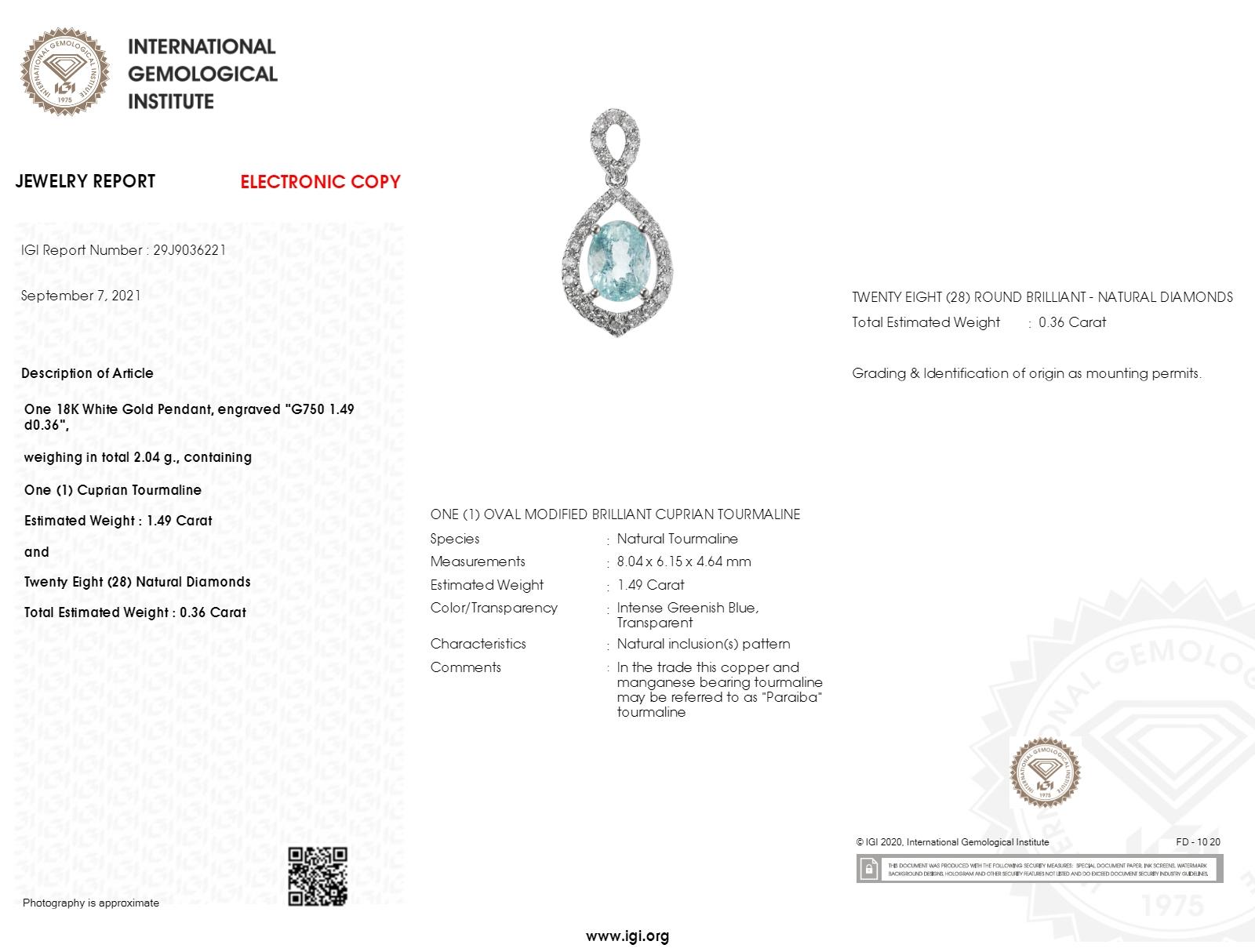 Ti presentiamo un eccezionale e raro ciondolo in oro bianco 18 carati, certificato con il Jewelry Report dell'International Gemological Institute. Questo affascinante pezzo, del peso complessivo di 2,04 grammi, mette in mostra una varietà di
