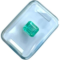 IGI Certified 1.58ct Colombian Emerald Light Green Octagon Cut Rare Blister Gem