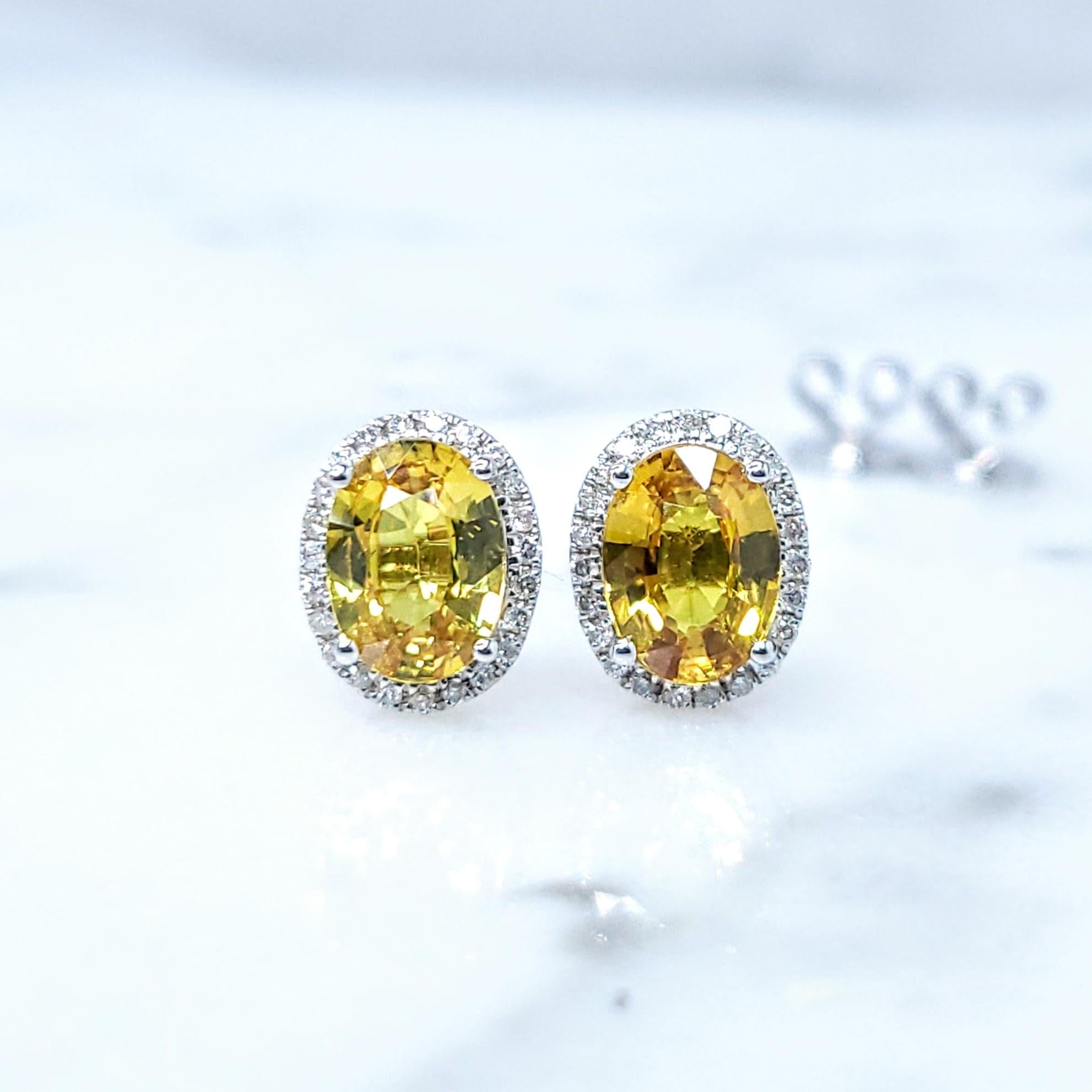 Radiant 18k white gold earrings featuring vivid yellow sapphires of exceptional natural beauty and delicate diamond accents. These elegant earrings showcase two oval mixed-cut natural yellow sapphires, totaling 1.75 carats, displaying a captivating