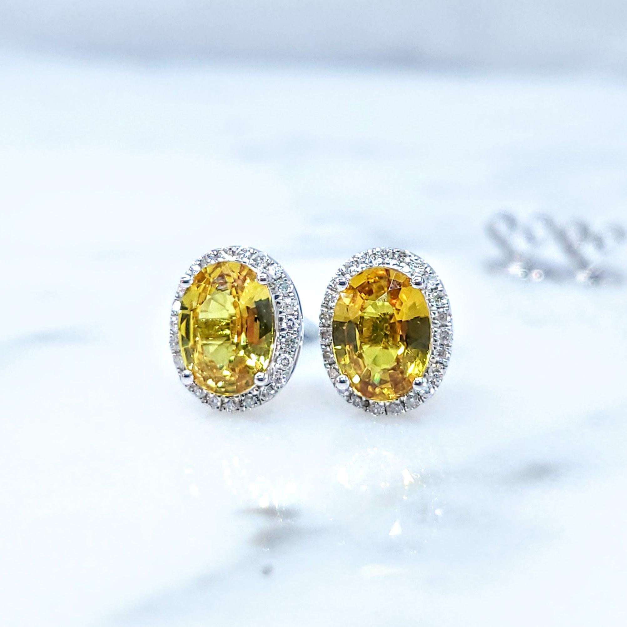 Modern IGI Certified 1.75 Carat Unheat Ceylon Yellow Sapphire & Diamond Earrings in 18K For Sale
