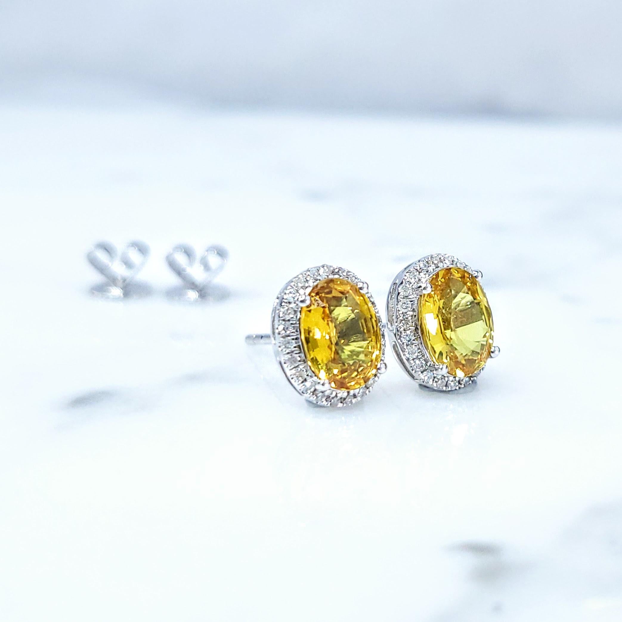 Oval Cut IGI Certified 1.75 Carat Unheat Ceylon Yellow Sapphire & Diamond Earrings in 18K For Sale