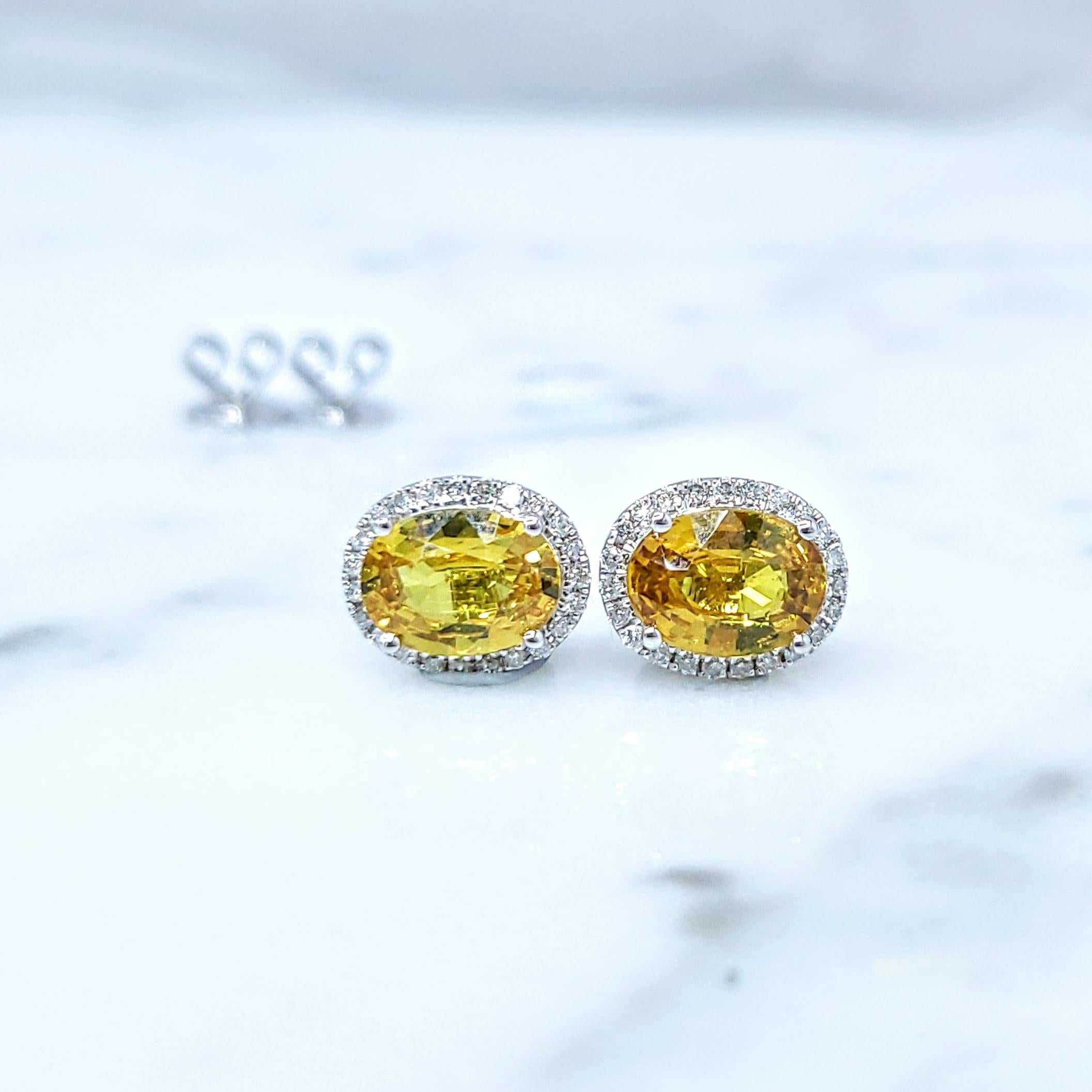 IGI Certified 1.75 Carat Unheat Ceylon Yellow Sapphire & Diamond Earrings in 18K In New Condition For Sale In KOWLOON, HK