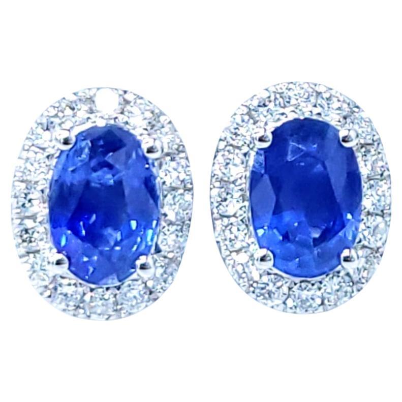 IGI Certified 2.08 Carat Sapphire and Diamond Earrings in 18K White Gold