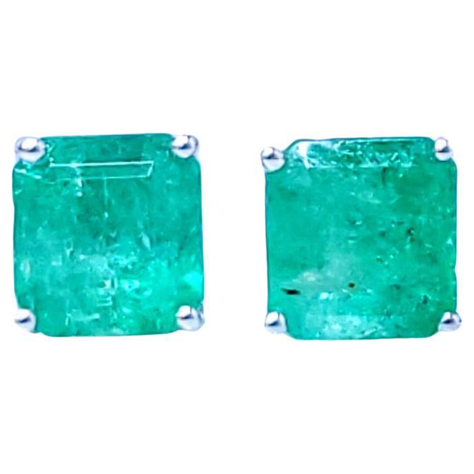 Boucles d
oreilles en or blanc 18 carats certifiées IGI et composées d
émeraudes et de diamants de Colombie de 2,65ct