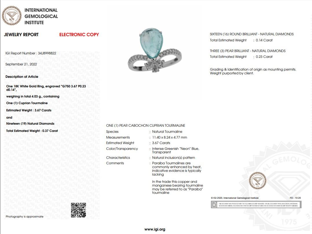 IGI Certified 3.67 Carat Paraiba & Diamond Ring in 18K White Gold 2