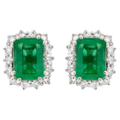 IGI Certified Emerald Stud Earrings Diamond Halo 4.49 Carats 18K Gold