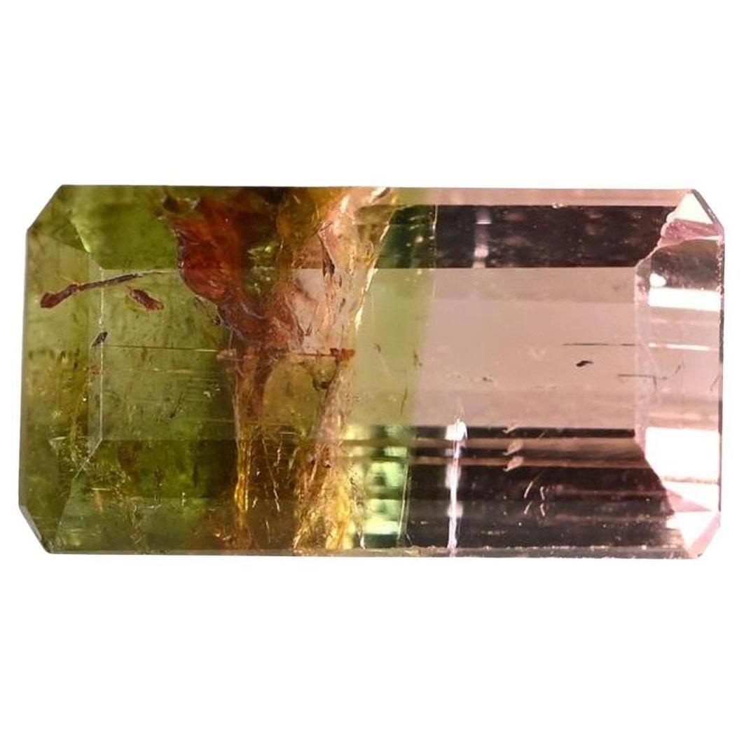 IGI Certified Green, Pink Bi-Color "Watermelon Tourmaline" 3.22 Carat Gemstone