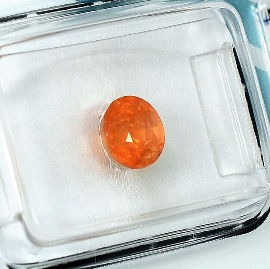 Ein schöner, lebensfroher, IGI-zertifizierter, natürlicher, orangefarbener Spessartit-Edelstein. Mit einem Gewicht von 1,36 Karat.

Dieser Edelstein ist eine Varietät des Granats. Spuren von Mangan im Edelstein verleihen ihm eine eher orangene Farbe
