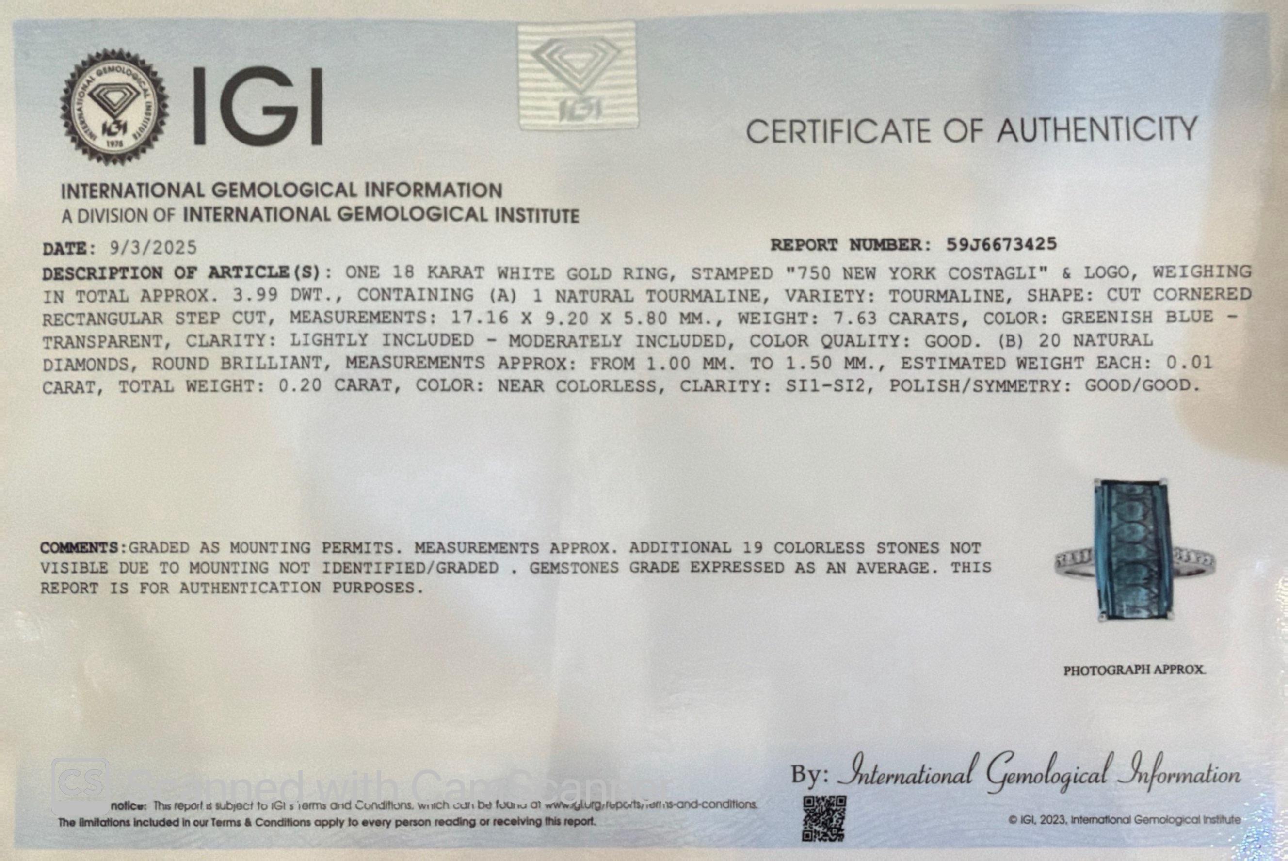 IGI zertifiziert Paolo Costagli 7,63 CT Blauer Turmalin Diamant 18K Weißgold Ring im Angebot 12