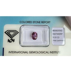 IGI Certified Pink Purple Sapphire 1.51ct Unheated Oval Cut Loose Oval Cut Gem