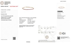 NO RESERVE - IGI No Heat 2,66ct Natürlicher Saphir Tennis, 14k Roségold Armband