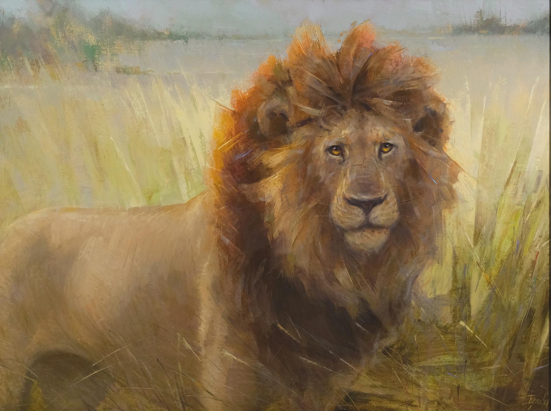 Le lion au Botswana, peinture à l'huile, 40 x 30 Huile, exposition sur la faune du Sud-Est  - Impressionnisme américain Painting par Ignat Ignatov