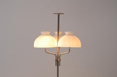 Ignazio Gardella Arenzano model steel floor lamp