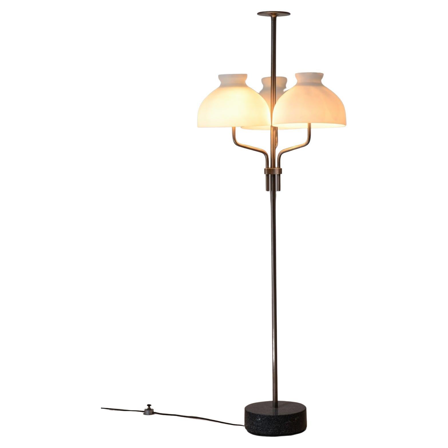 Ignazio Gardella Arenzano model steel floor lamp For Sale