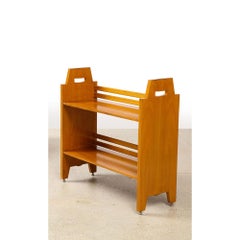 Vintage Ignazio Gardella Bookcase