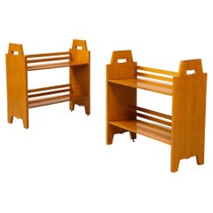 Ignazio Gardella Bookcases