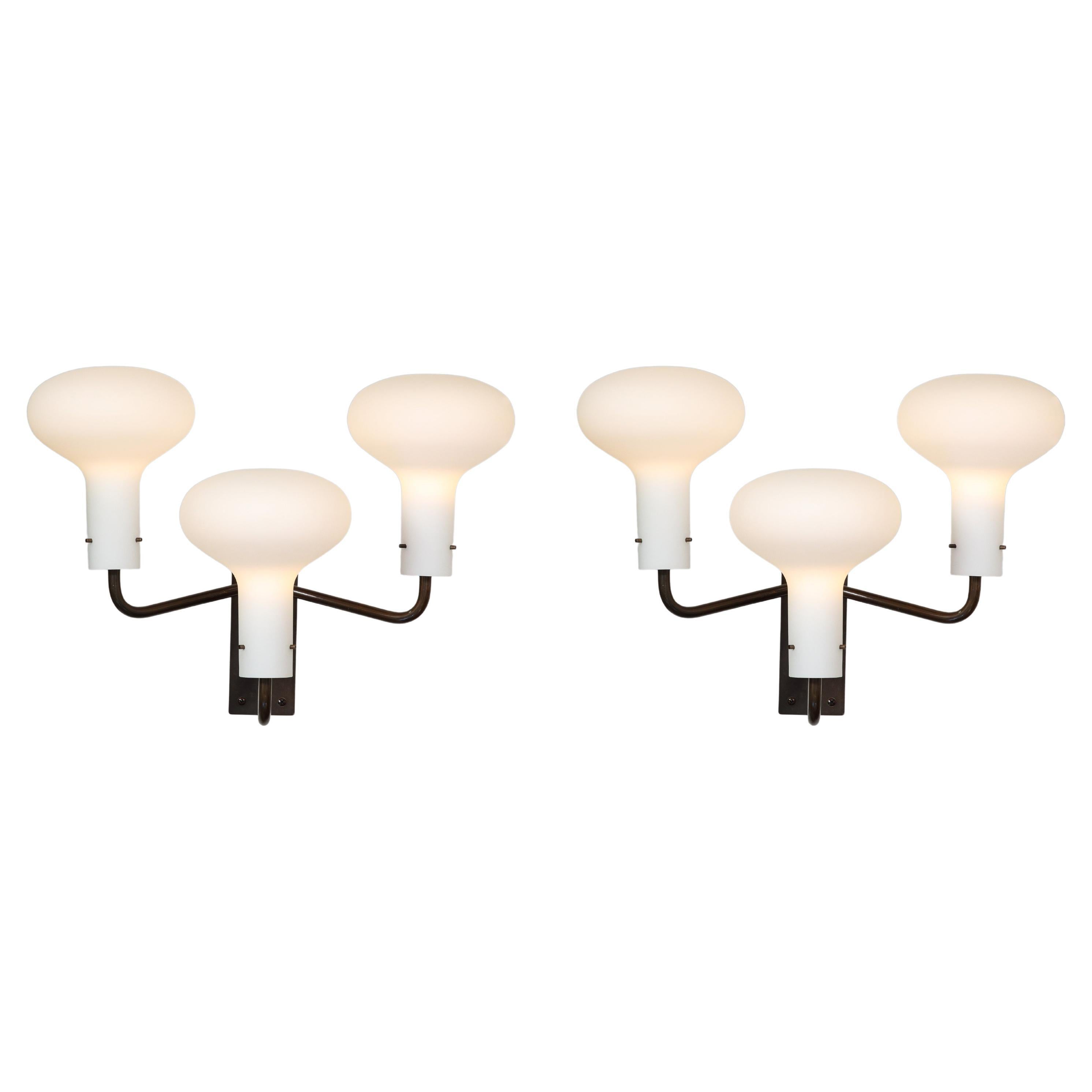 Ignazio Gardella for Azucena Pair of Three Arm Wall Lights Model LP12, 1950s For Sale