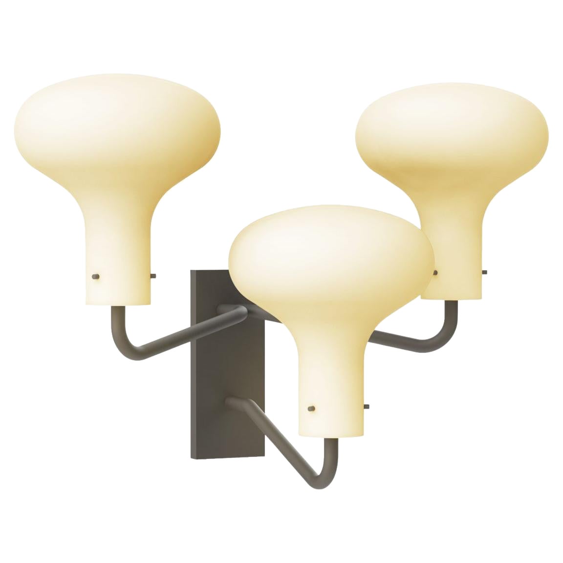 Ignazio Gardella
Galleria
3-Arm Wall Lamp in Satin Bronze for Tato Italia