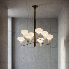 Lampadario a 8 bracci in ottone e vetro di Ignazio Gardella 'Galleria' per Tato Italia