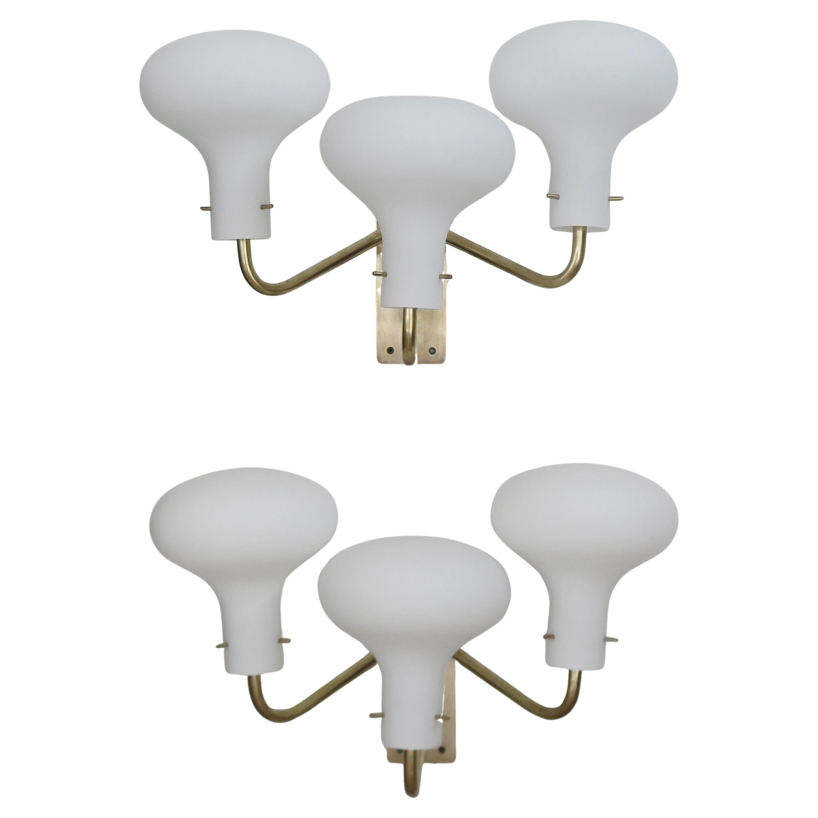 Ignazio Gardella Apliques de latón italiano LP12 Lámparas de pared Azucena Italia Años 60