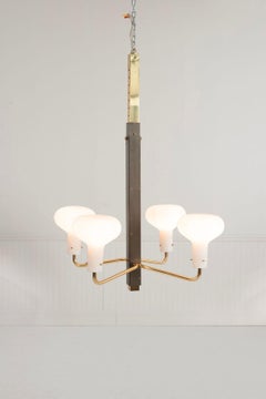 Rara araña de cuatro brazos de Ignazio Gardella para Azucena, Italia, 1958