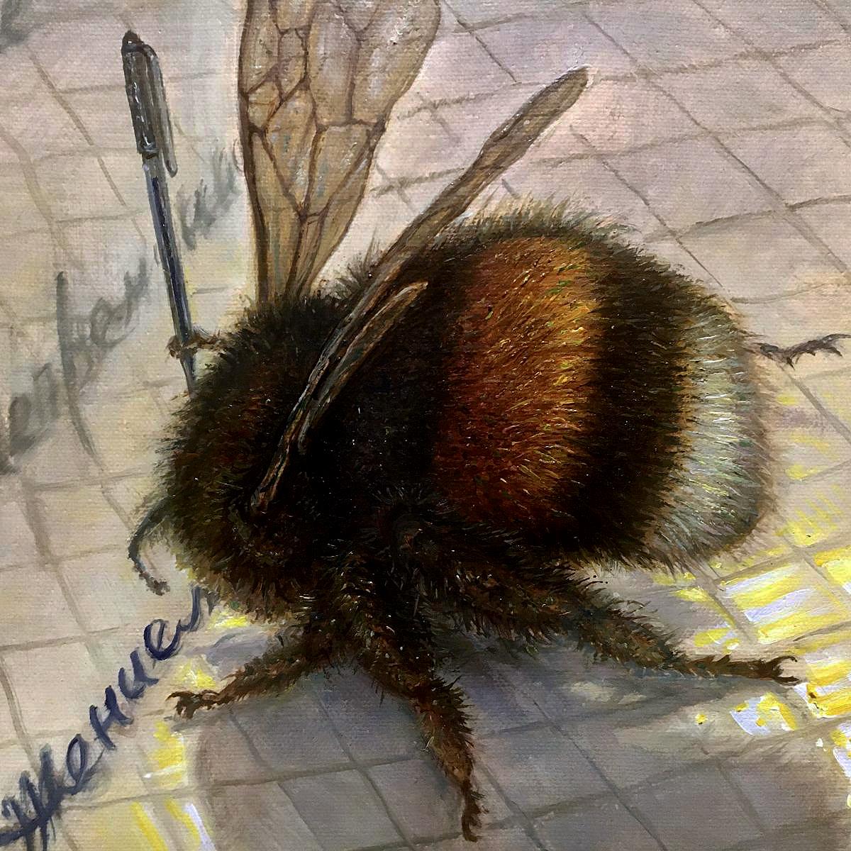 Cordiali saluti, bumblebee  olio/tela, 40x50 cm, 2021 - Painting di Igor Maikov