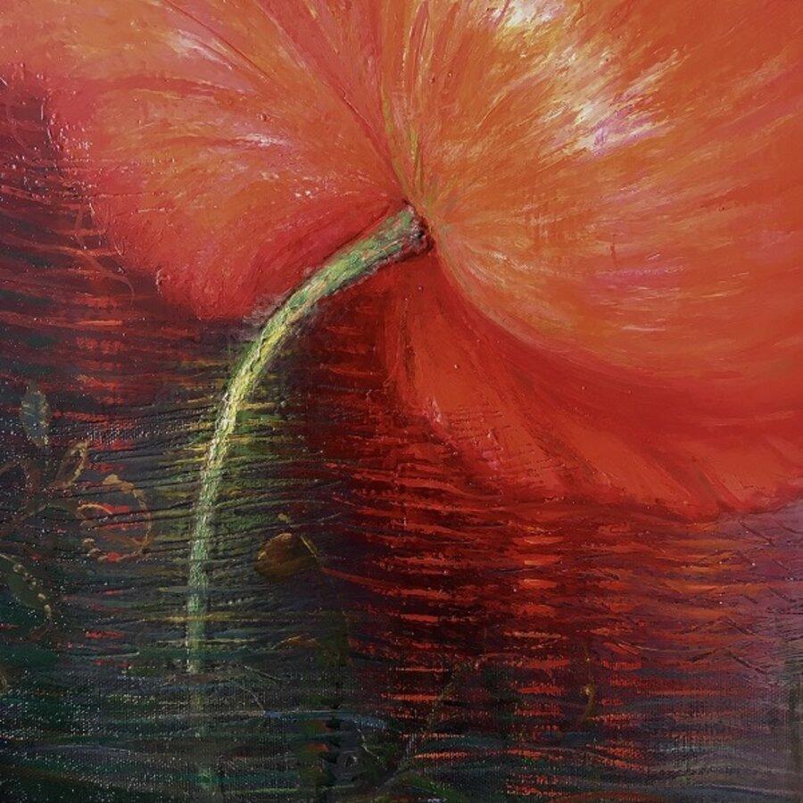 Nel colore dei papaveri rossi. 2020, olio su tela, 80x100 cm in vendita 1