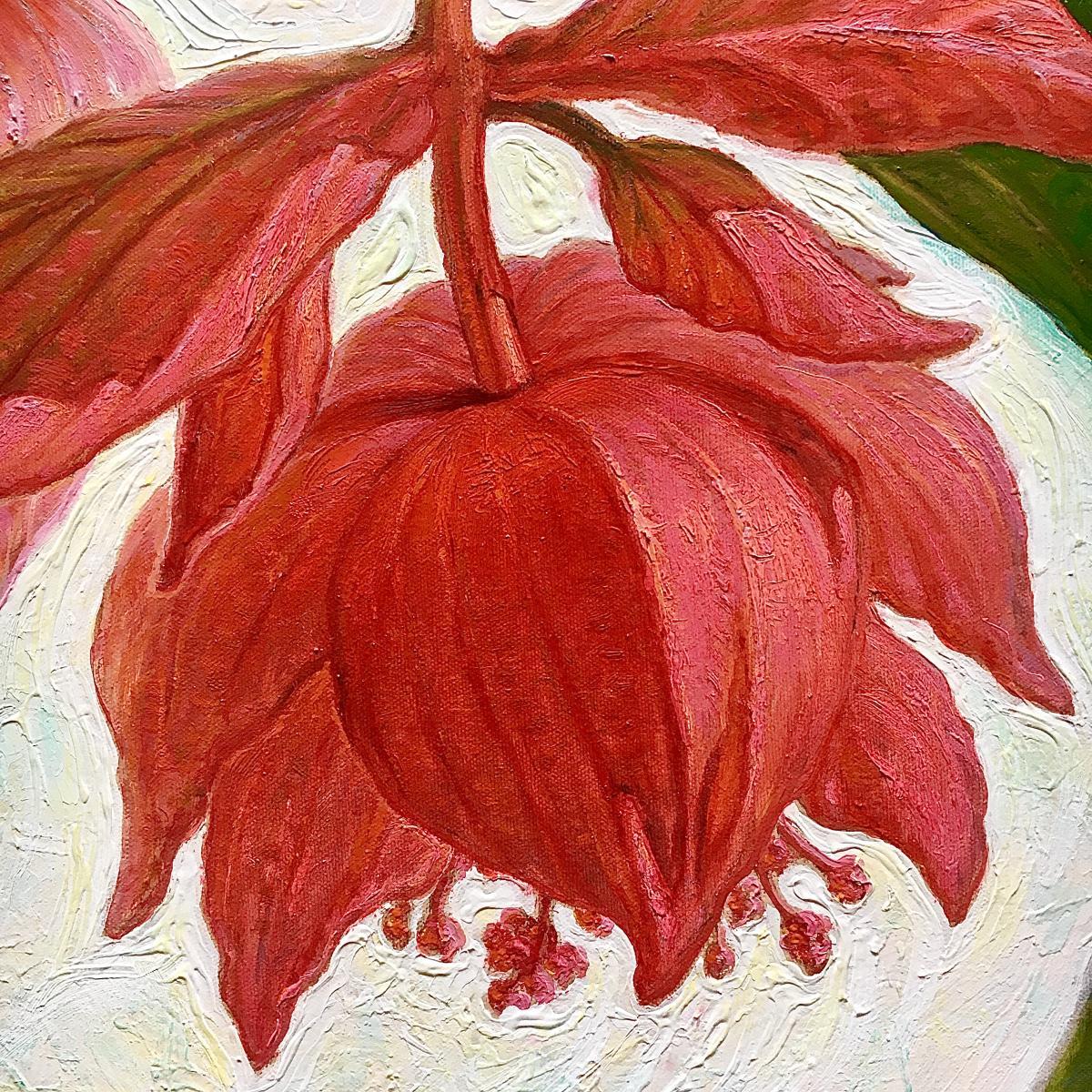 Medinilla Magnifica  olio/tela, 70x90 cm, 2023 - Painting di Igor Maikov