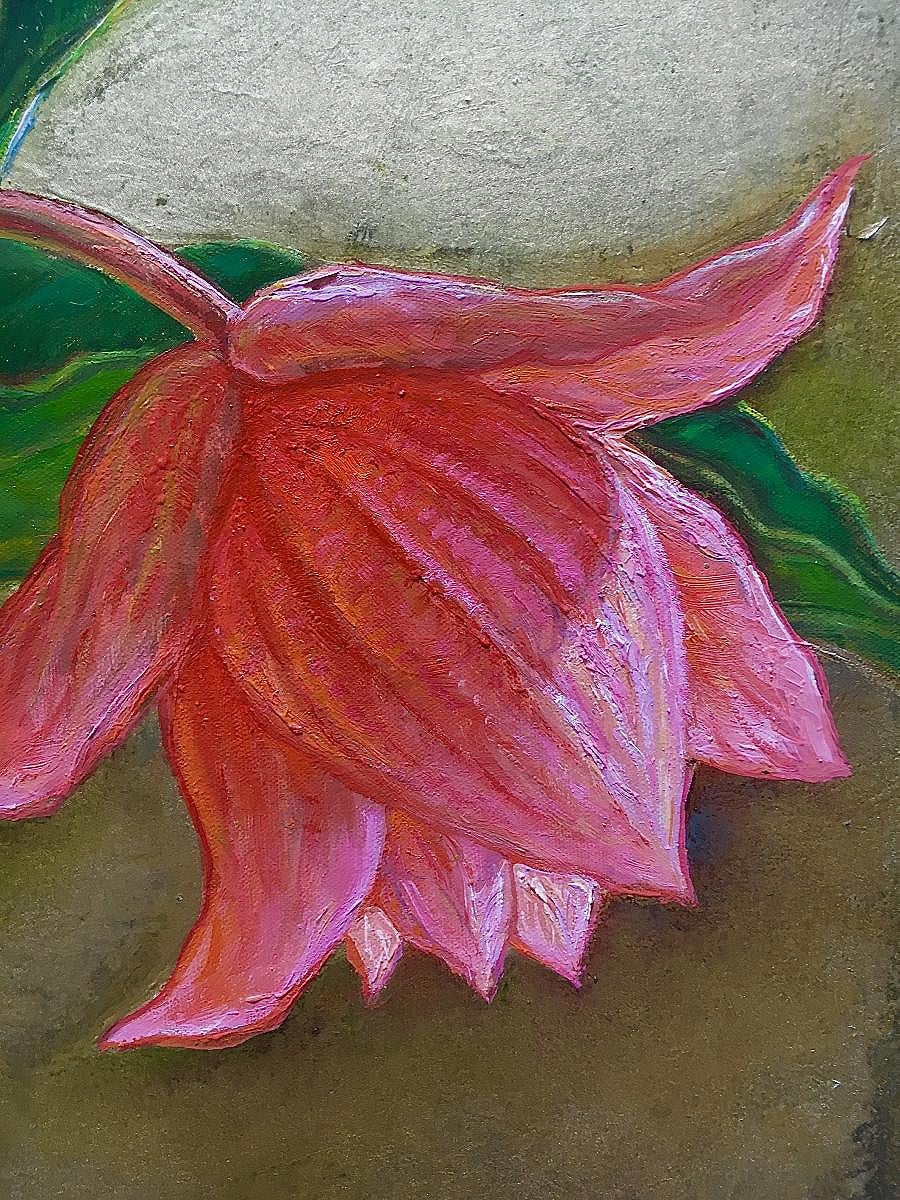 Medinilla Magnifica  olio/tela, 70x90 cm, 2023 - Painting Realismo di Igor Maikov