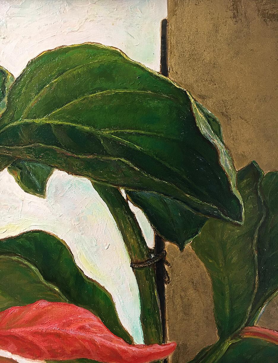 Medinilla Magnifica  olio/tela, 70x90 cm, 2023 in vendita 1
