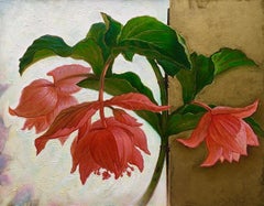 Medinilla Magnifica  oil/canvas, 70x90 cm, 2023