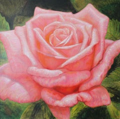 Rose rose. 2020, toile, huile, 90 x 90 cm