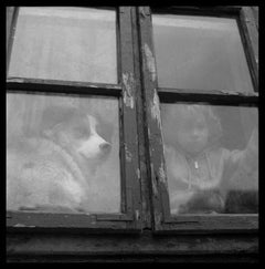 Child and Dog, Budapest - Animal, Boy, Window, Peeling Paint
