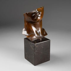 Igor Mitoraj : "Portrait D'Homme", Patinated Bronze, 1984