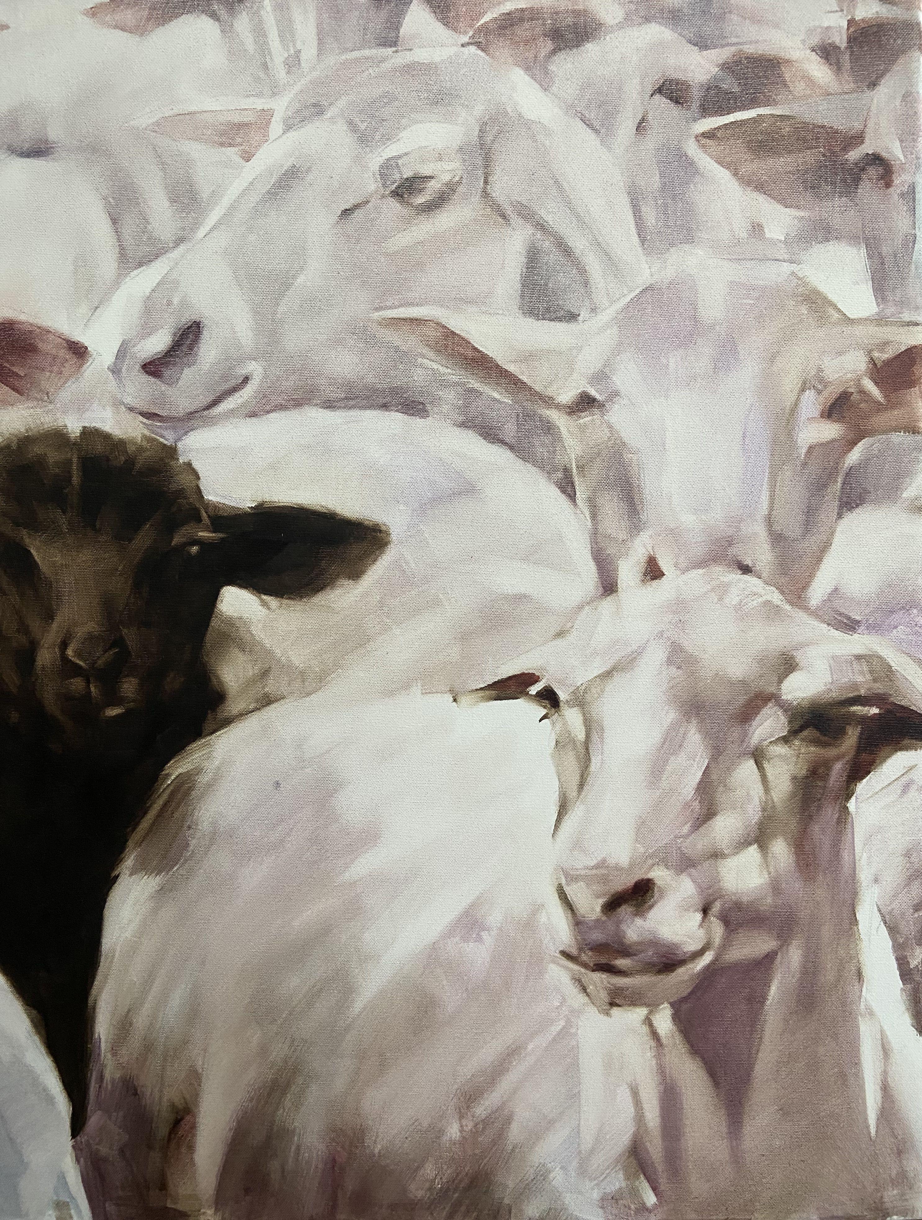 Black sheep., Painting, Oil on Canvas 1