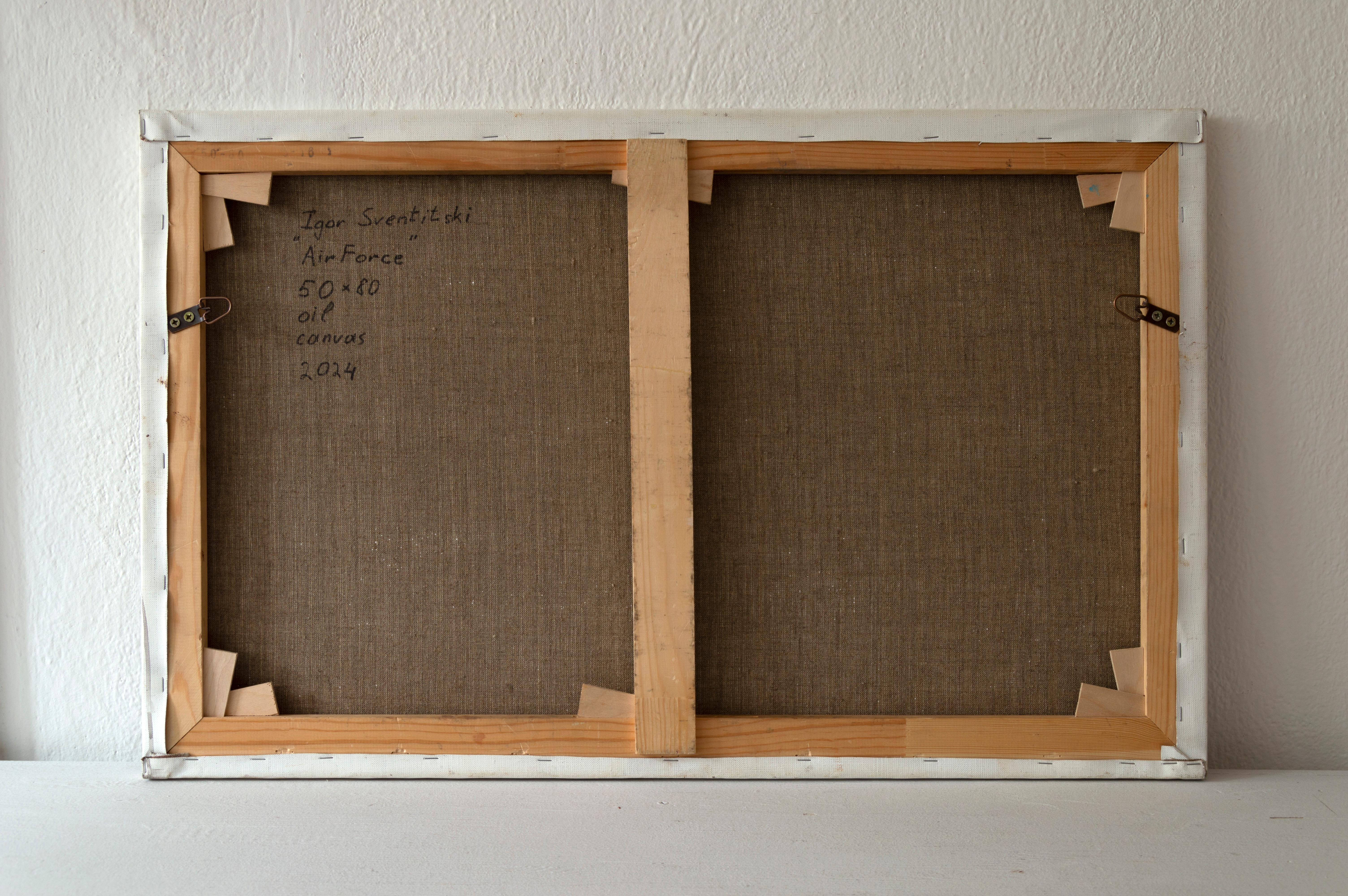 AirForce im Angebot 1