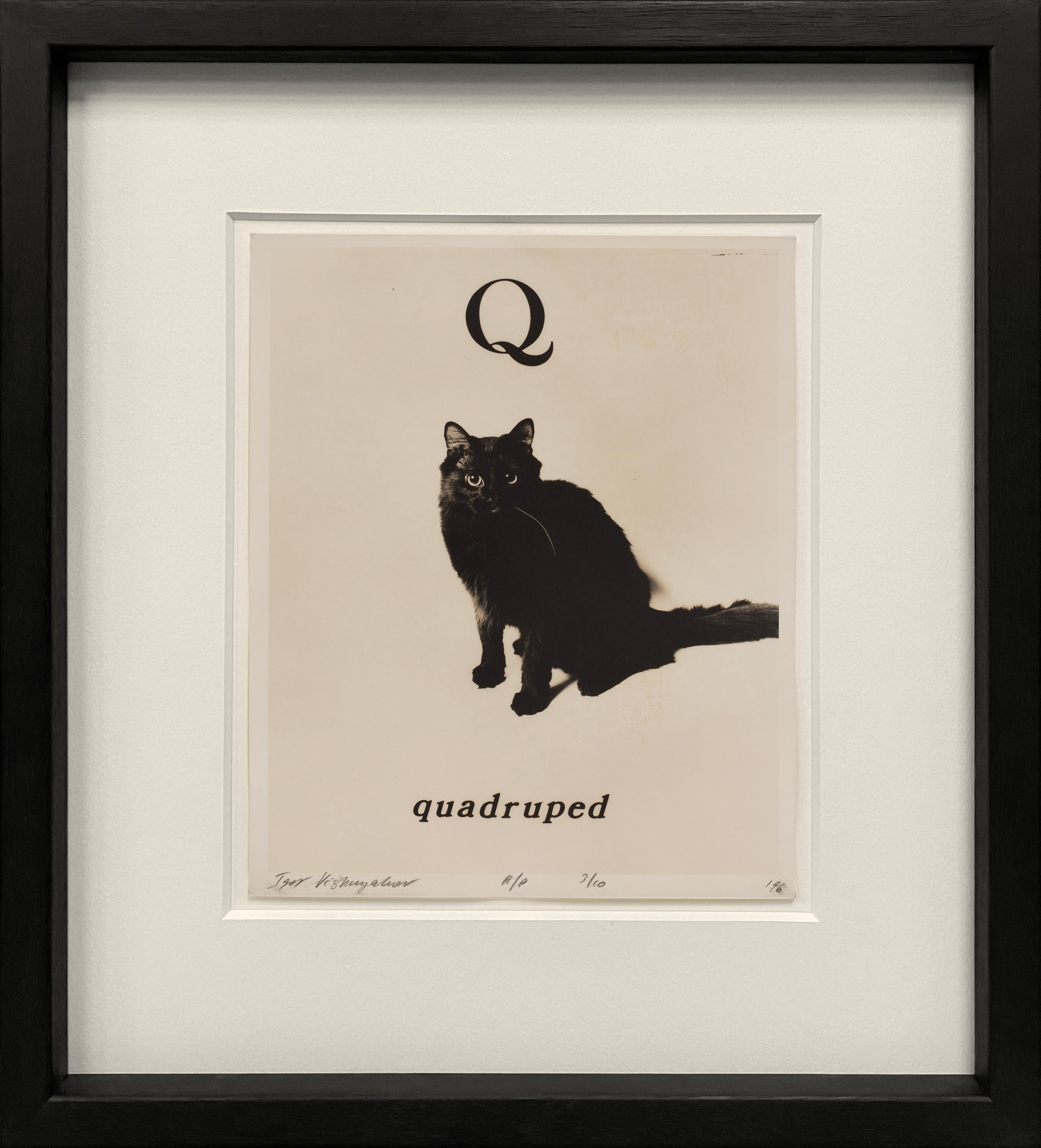 Individually framed Alphabet Suite, Edition 3/10, hand signed and numbered.  For Sale 12