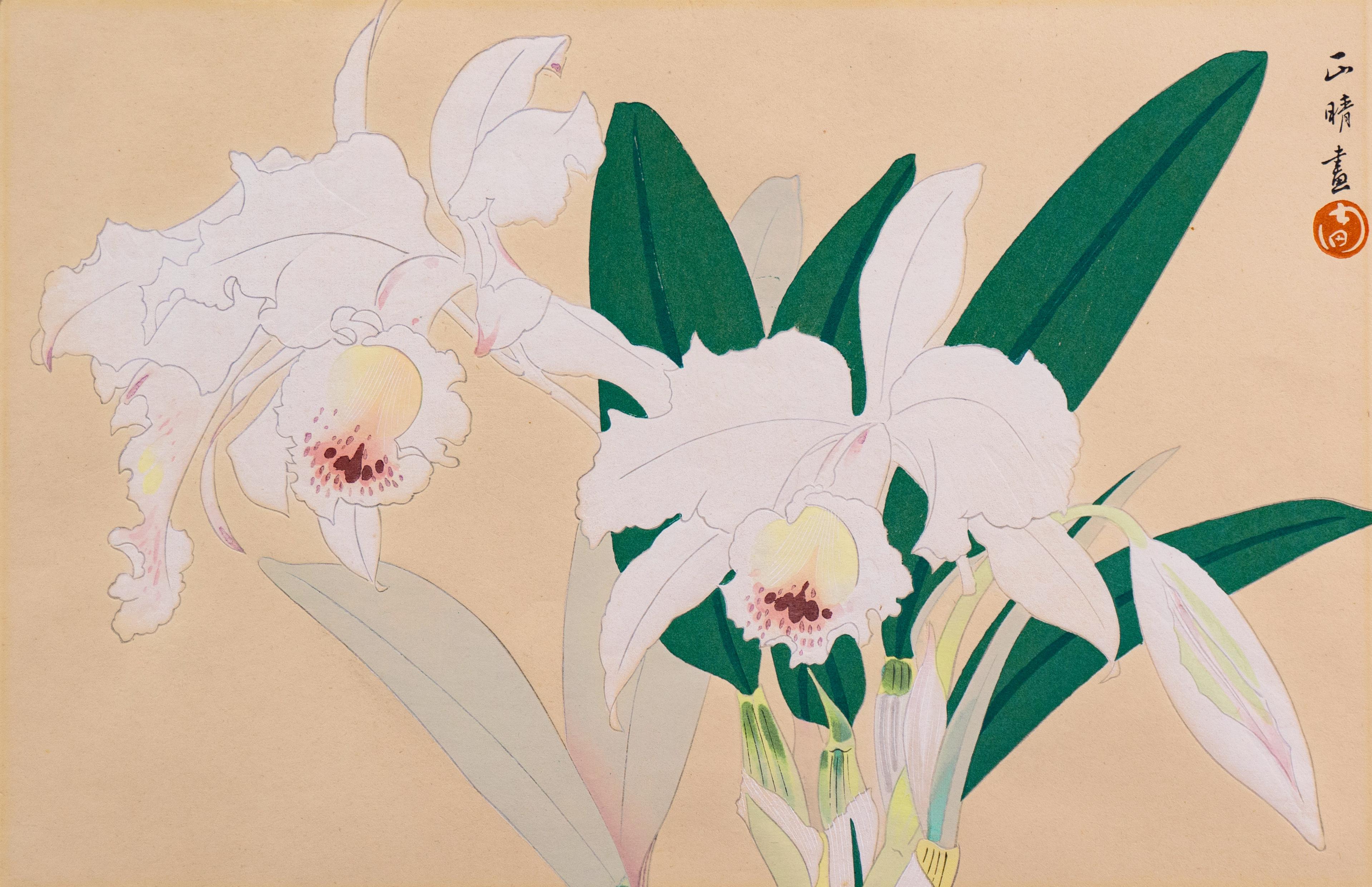 Stilleben mit Orchideen