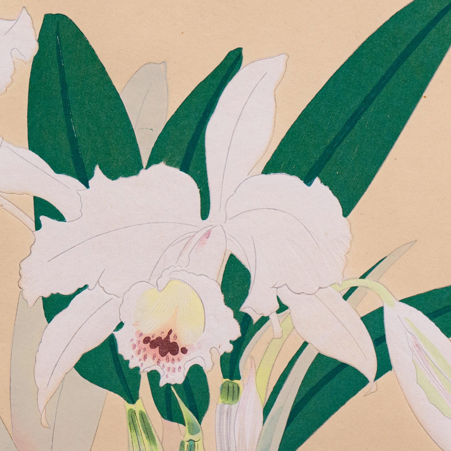 Stilleben mit Orchideen