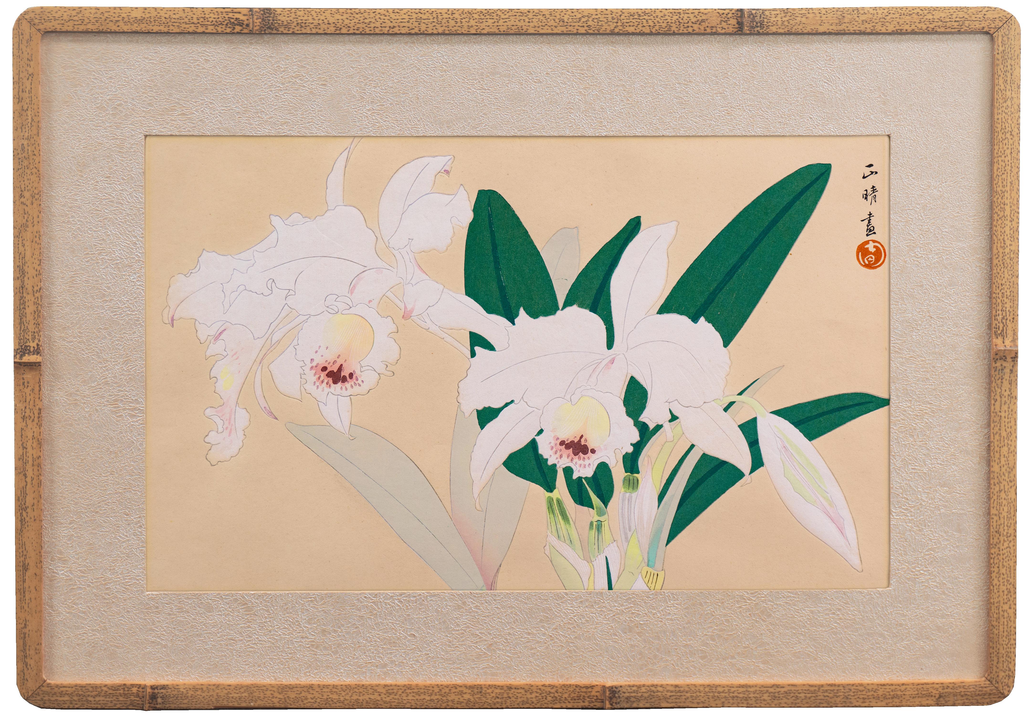 Ikeda Zuigetsu Still-Life Print – Stilleben mit Orchideen", Japanisches Florilegium, Farbholzschnitt, Michigan, Kyoto