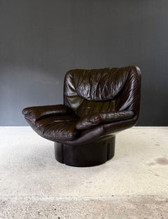 IL Poltrone Lounge Chair von T. Ammannati & G.P. Vitelli für Comfort, Italy 1973