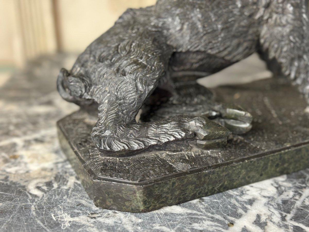 Bronze Il Porcelino d'après Pietro Tacca, sculpture en marbre serpentin vert, Italie 19e en vente
