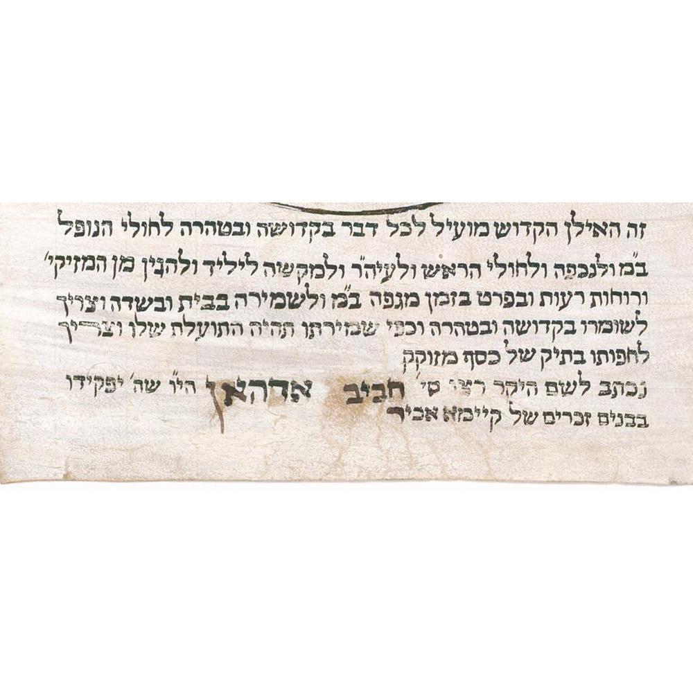 Ilan ha-Kadosh, Kabbalistic Scroll on Parchment, North Africa, ca. 1900 Kabbala For Sale 6