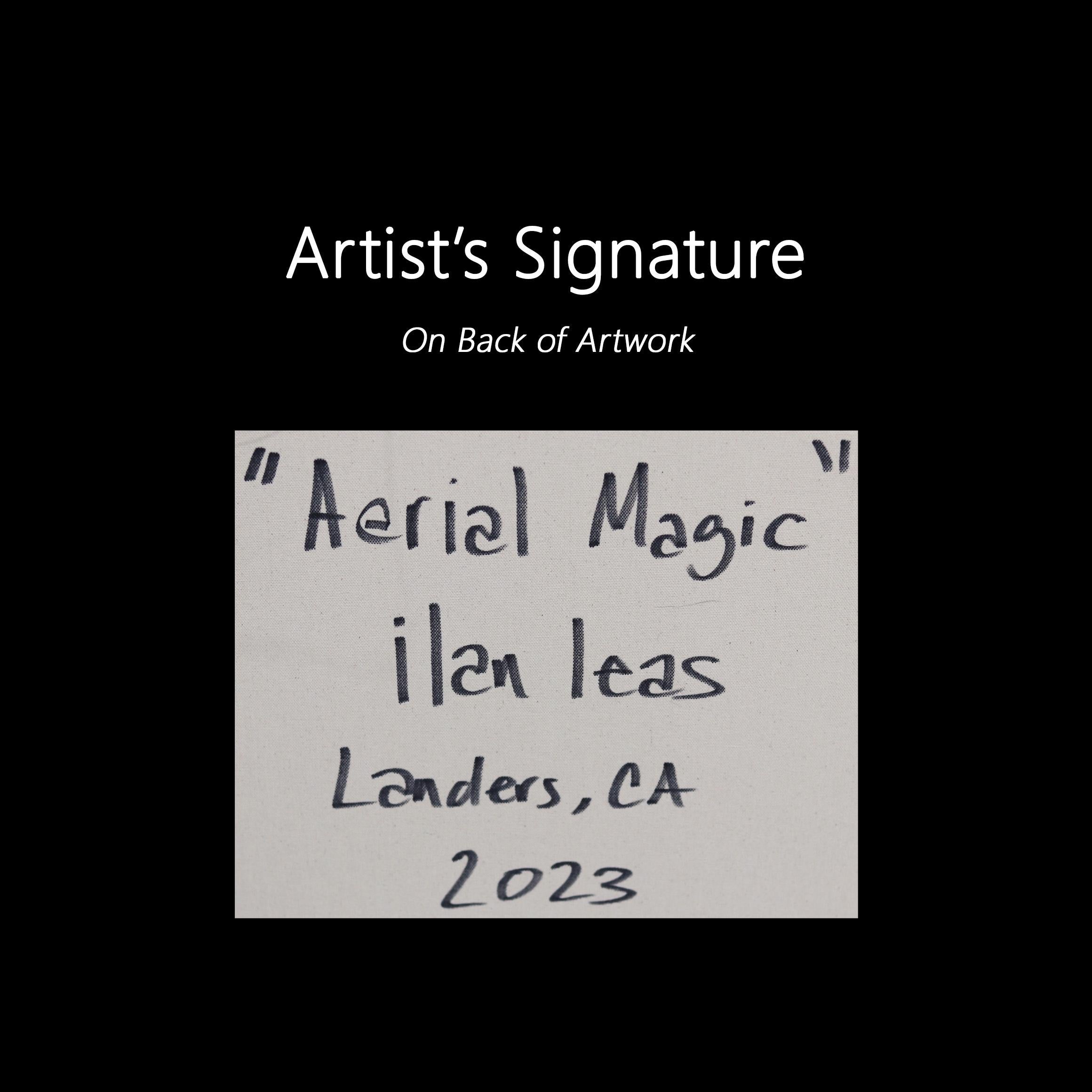 Aerial Magic - Dynamik Linear Design Composition Aborigine inspiriertes Gemälde im Angebot 5