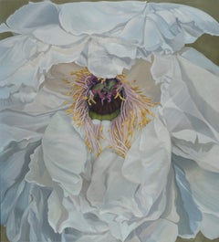Illia Barger, "Zoe" floral painting, tree peony, tonal study in white
