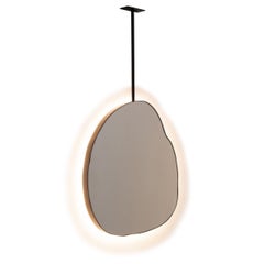 Illuminated Ergon Ceiling Suspended Organic Irregular Mirror, Modern Black Frame