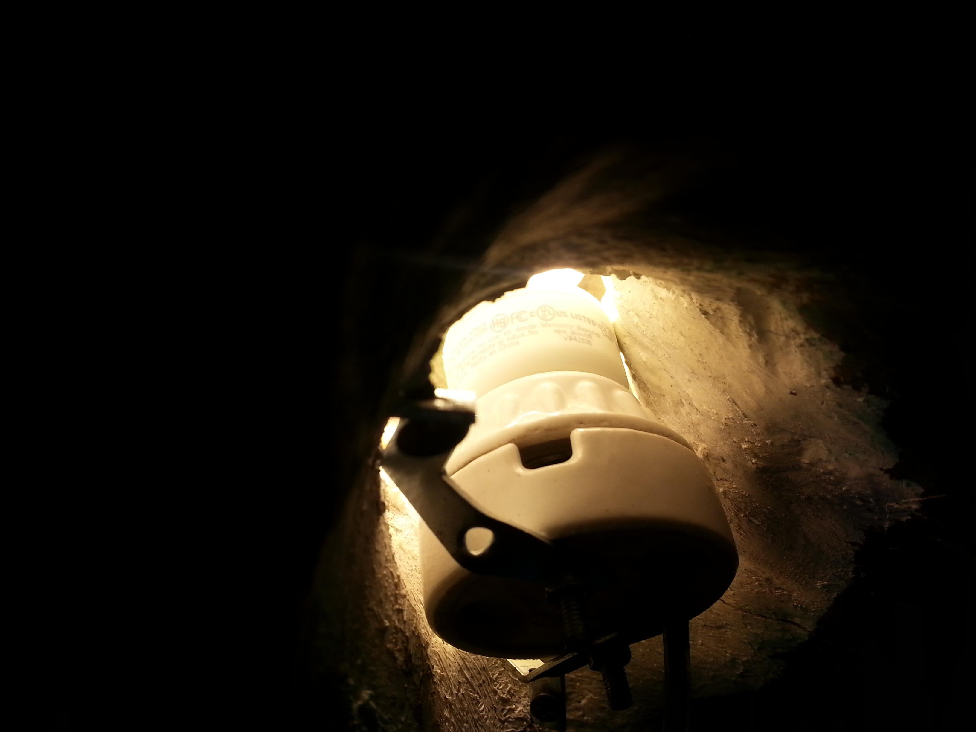 Sculpture enluminée de l'