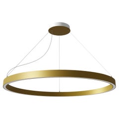 Ilti Luce Zirkol Círculo 33,5" Downlight LED 2700K Lámpara colgante en dorado