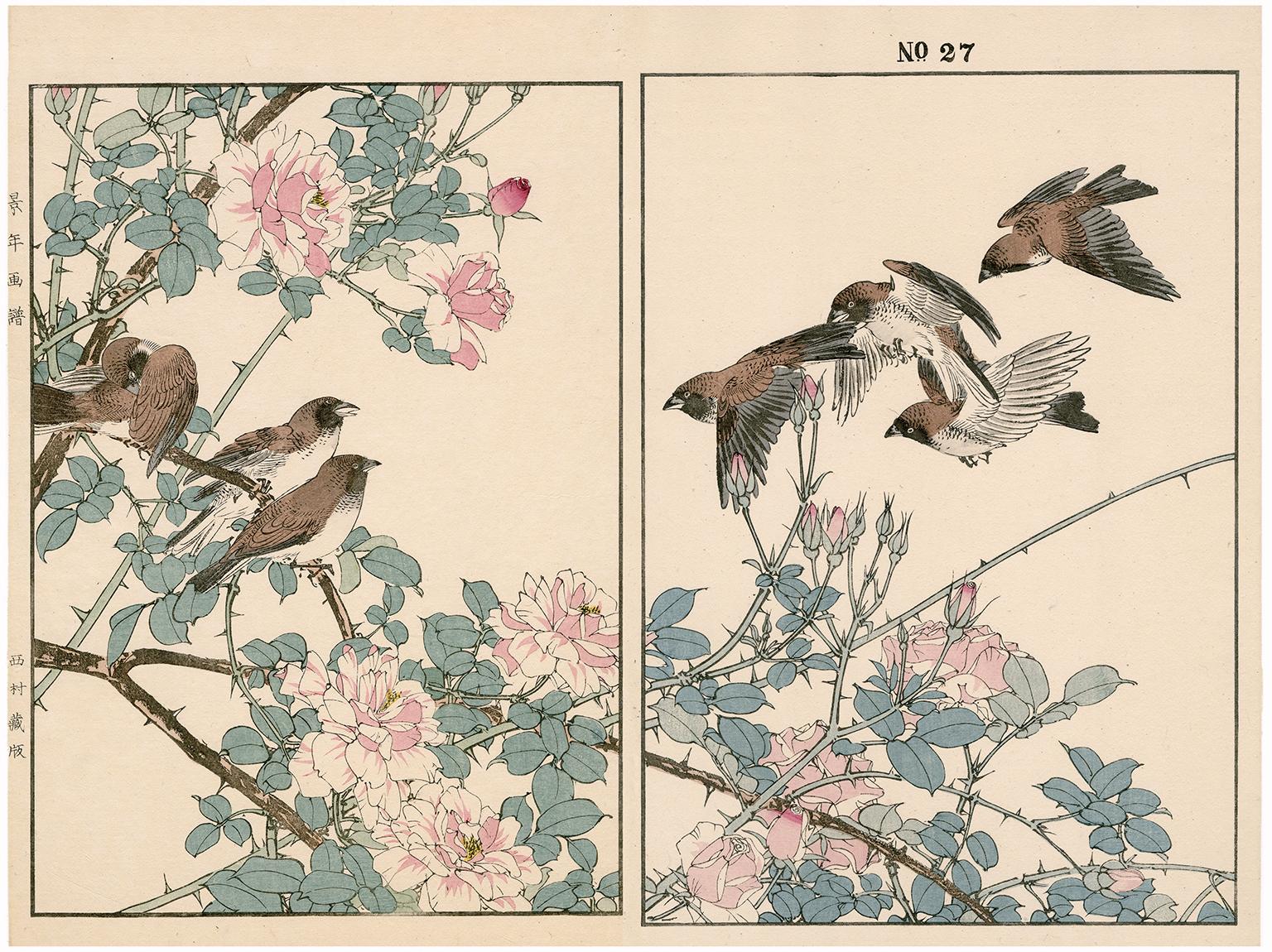 Cabbage Rose and Spotted Munia— 19th century woodblock print - Print by Imao Keinen